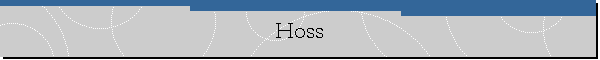 Hoss