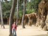 Clic en la foto para verla a toda pantalla: Parque Gaudí