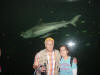 Clic en la foto para verla a toda pantalla: Shark!!