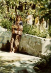 Clic en la foto para verla a toda pantalla: mi Mamá embarazada de Yoli, aquí esta en el balneario de Acámbaro, Aguacaliente