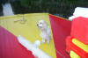 Clic en la foto para verla a toda pantalla: En Xochimilco 2005
